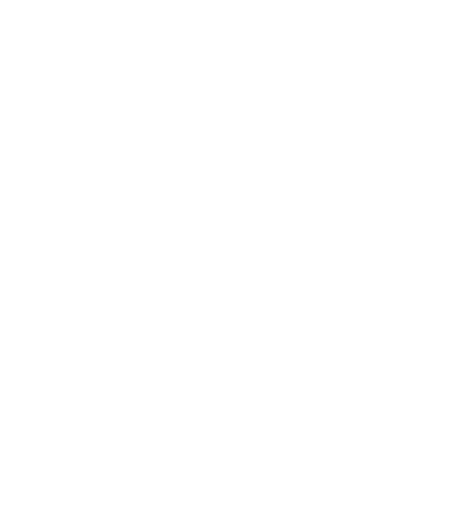 Community Engagement